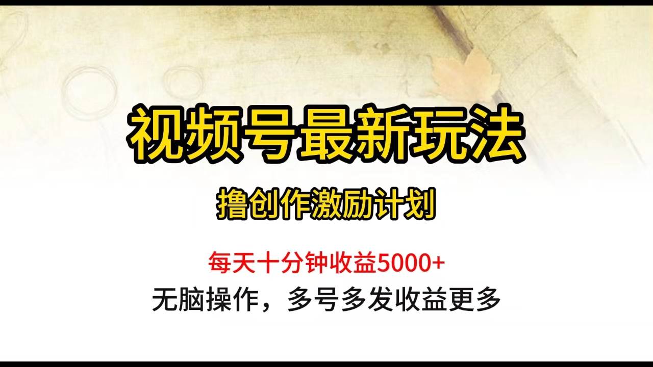 视频号最新玩法,每日一小时月入5000+ - 小白项目网-小白项目网
