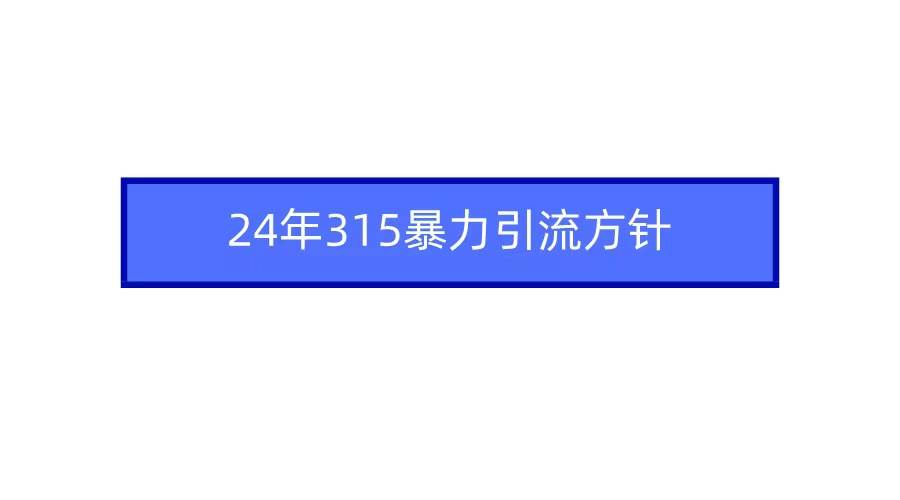 2024年315暴力引流方针 - 小白项目网-小白项目网