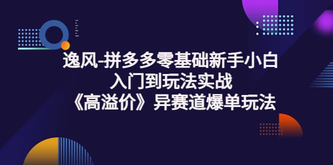 拼多多零基础小白小白入门到玩法实战《高溢价》异赛道爆单玩法实操课 - 小白项目网-小白项目网