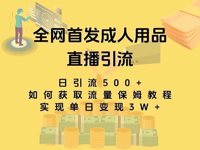 最新全网独创首发，成人用品直播引流获客暴力玩法，单日变现3w保姆级教程 - 小白项目网-小白项目网