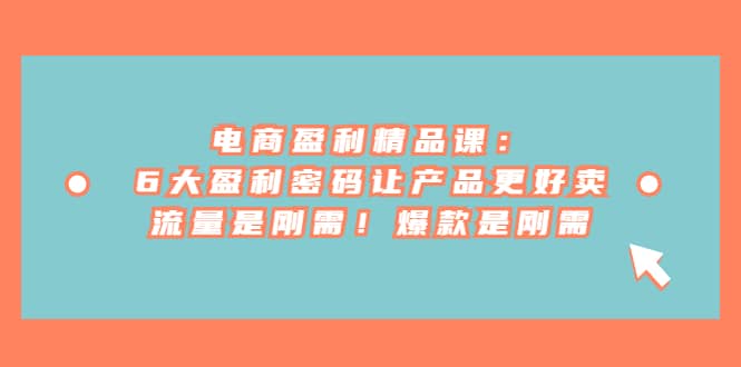 电商 盈利精品课：6大盈利 密码让产品更好卖，流量是刚需！爆款是刚需-小白项目网