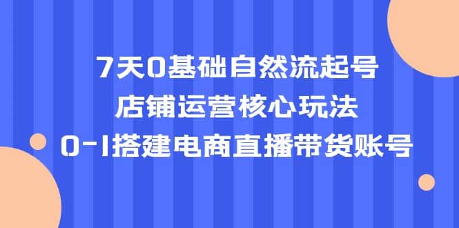 7天0基础自然流起号，店铺运营核心玩法，0-1搭建电商直播带货账号 - 小白项目网-小白项目网