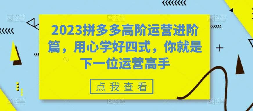 2023拼多多高阶运营进阶篇，用心学好四式，你就是下一位运营高手 - 小白项目网-小白项目网