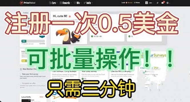 国外项目注册一次0.5美金 只需三分钟无脑操作 可批量放大 小白工作室福利 - 小白项目网-小白项目网