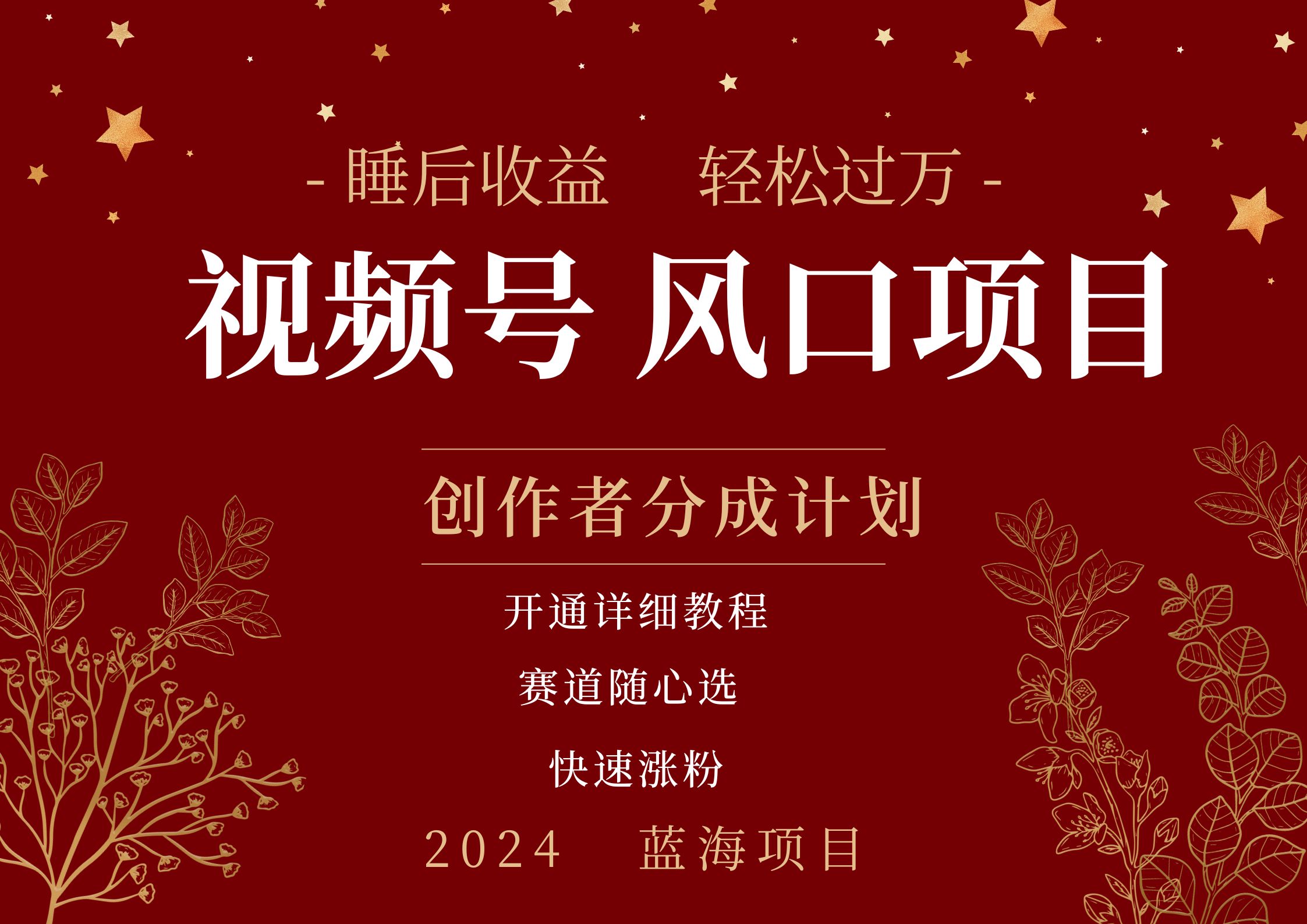 拥有睡眠收益的微信视频号大风口项目，轻松月入过万+，多赛道选择，可矩阵，玩法简单轻松上手 - 小白项目网-小白项目网