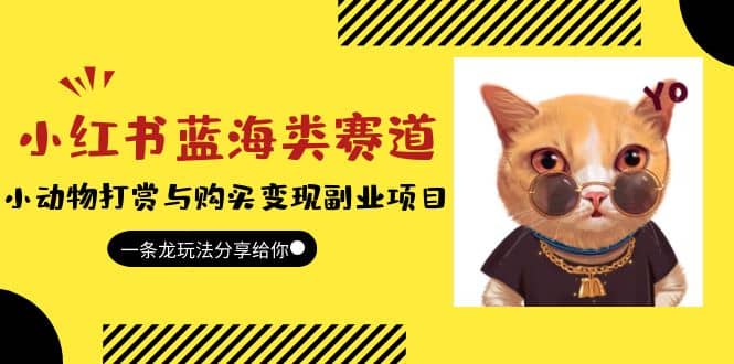 小红书蓝海类赛道：小动物打赏与购买变现副业项目，一条龙玩法分享给你 - 小白项目网-小白项目网