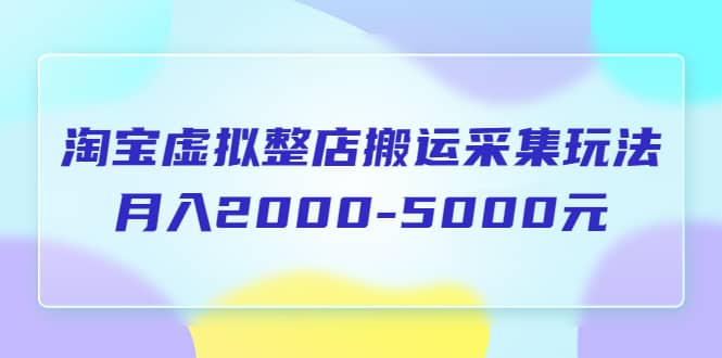 淘宝虚拟整店搬运采集玩法分享课：月入2000-5000元（5节课） - 小白项目网-小白项目网