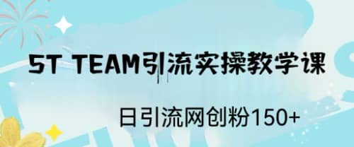 ST TEAM引流实操课，日引流网创粉100+ - 小白项目网-小白项目网