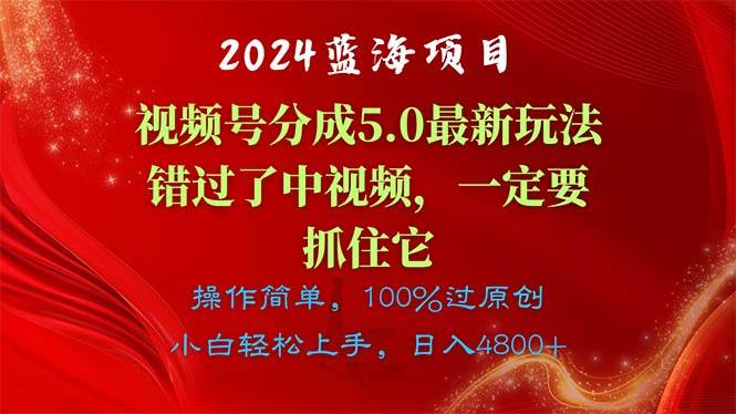 2024蓝海项目，视频号分成计划5.0最新玩法，错过了中视频，一定要抓住...-小白项目网