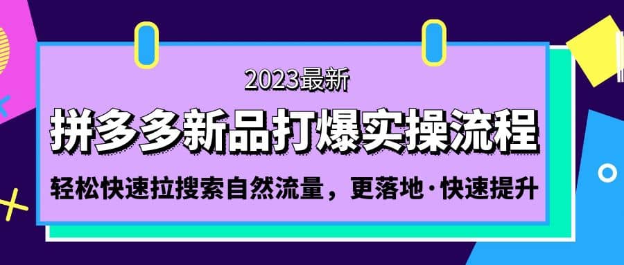 拼多多-新品打爆实操流程：轻松快速拉搜索自然流量，更落地·快速提升 - 小白项目网-小白项目网
