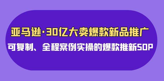 亚马逊30亿·大卖爆款新品推广，可复制、全程案例实操的爆款推新SOP - 小白项目网-小白项目网
