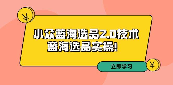 拼多多培训第33期：小众蓝海选品2.0技术-蓝海选品实操！ - 小白项目网-小白项目网