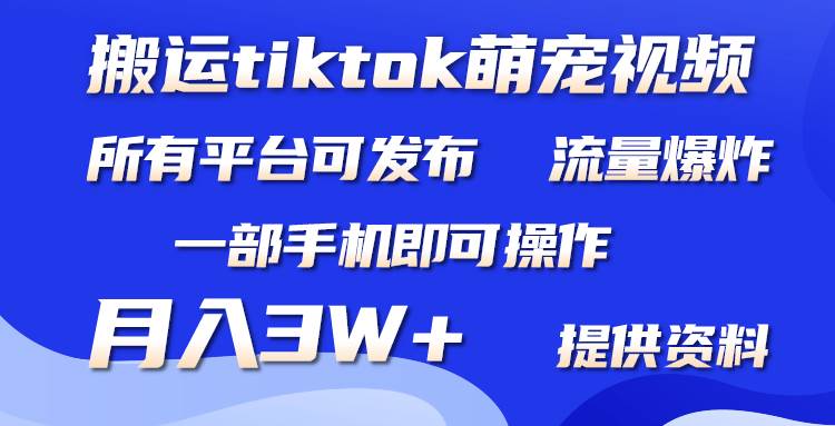 搬运Tiktok萌宠类视频，一部手机即可。所有短视频平台均可操作，月入3W+ - 小白项目网-小白项目网