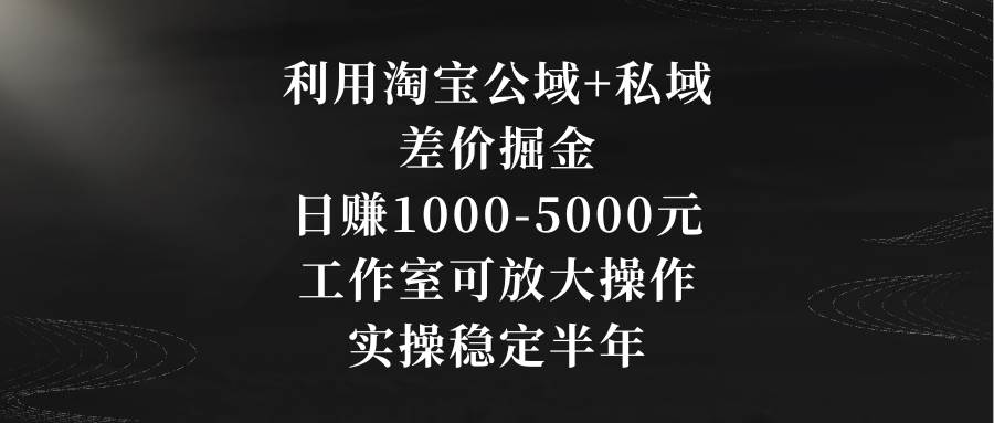 利用淘宝公域+私域差价掘金，日赚1000-5000元，工作室可放大操作，实操...-小白项目网