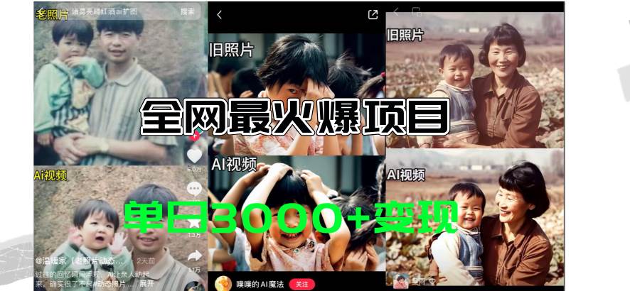 全网爆火的AI让老照片动起来教程，蹭热点日赚3000+，内含免费工具一键... - 小白项目网-小白项目网