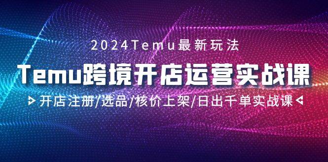2024Temu跨境开店运营实战课，开店注册/选品/核价上架/日出千单实战课 - 小白项目网-小白项目网