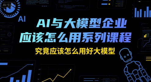 AI与大模型企业应该怎么用系列课程，究竟应该怎么用好大模型-小白项目网