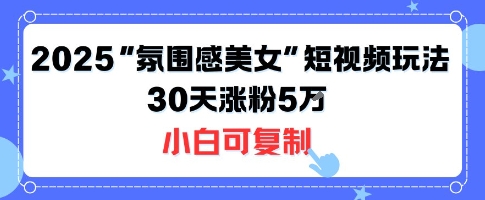 不露脸也能火！2025“氛围感美女”短视频玩法，30天涨粉5W小白可复制-小白项目网