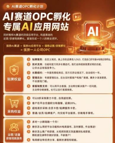 【首发】OPC一人公司项目，单日500+，手机电脑不限制，打造属于自己的品牌画布AI产品，收费陪跑【揭秘】-小白项目网