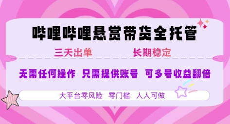 2025年B站风口带货项目 仅需提供账号 全程托管 轻松月入1w+-小白项目网