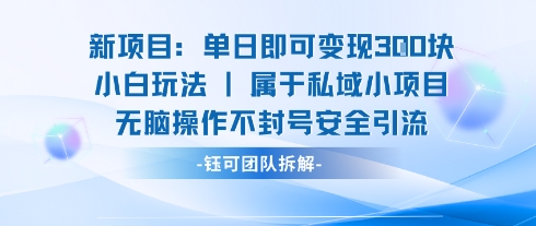 新项目单日即可变现3张的小白玩法无脑操作不封号安全引流-小白项目网