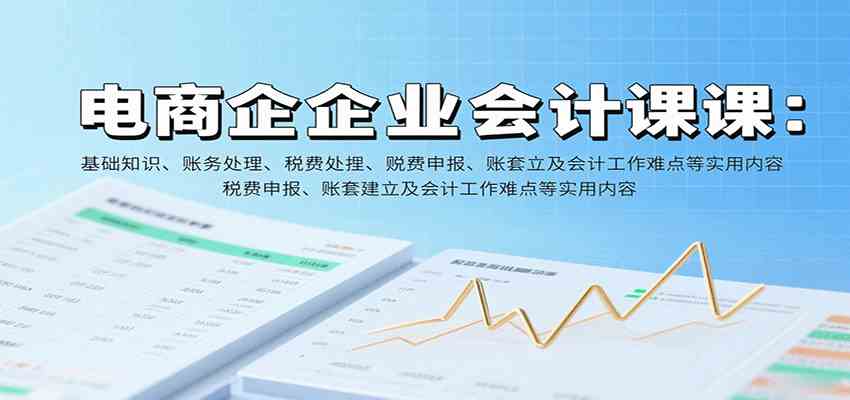 电商企业会计课：基础知识、账务处理、税费申报、账套建立及会计工作难点等实用内容-小白项目网