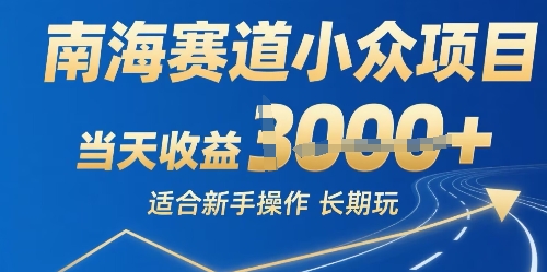 南海赛道小众项目，当天收益1k+适合新手操作可以长期玩-小白项目网
