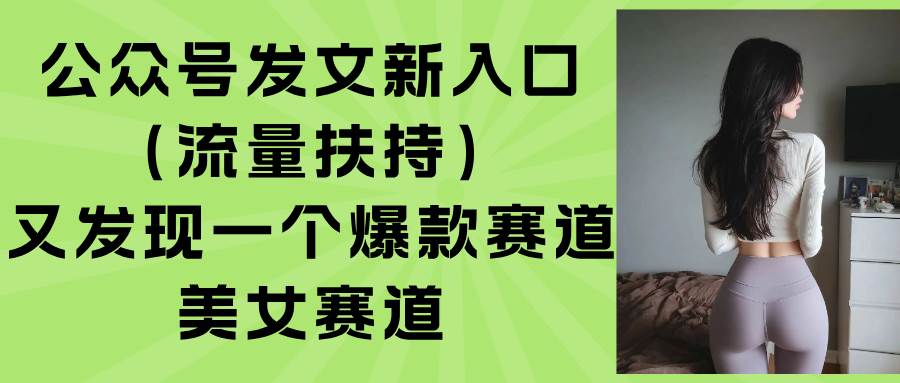 （15781期）公众号发文新入口（流量扶持），又发现一个爆款赛道：美女赛道-小白项目网