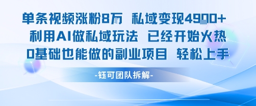 单条视频私域变现4.9k+利用AI做私域玩法 已经开始火热0基础也能做的副业项目轻松上手 - 小白项目网-小白项目网