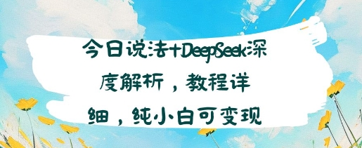 今日说法+DeepSeek深度解析，教程详细，纯小白可变现 - 小白项目网-小白项目网