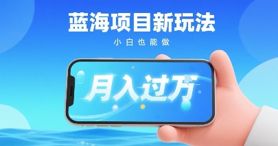 小红书蓝海项目新玩法，一部手机即可月入过W，推荐小白做非常简单认可度超高-小白项目网