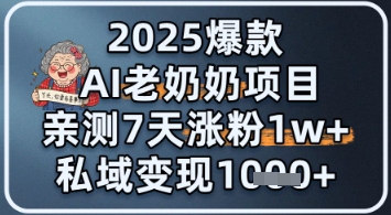 2025爆款 AI 老奶奶项目：亲测 7 天涨粉 1W+，私域变现 1k+-小白项目网