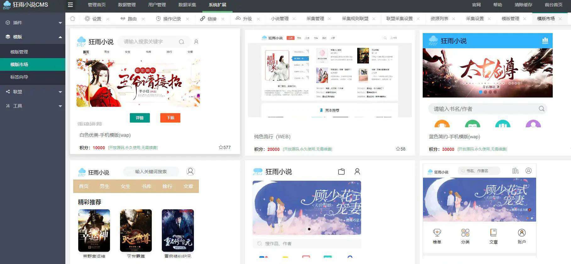 狂雨小说网站开源源码 带联盟采集-小白项目网