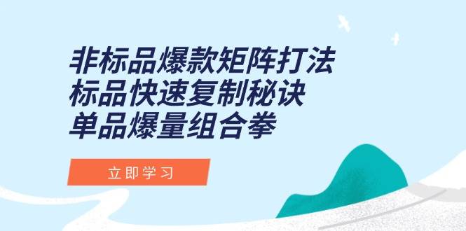 （15068期）非标品爆款矩阵打法，标品快速复制秘诀，单品爆量组合拳 - 小白项目网-小白项目网