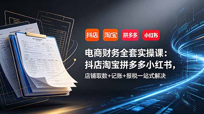 电商财务全套实操课:抖店淘宝拼多多小红书,店铺取数+记账+报税一站式解决-小白项目网
