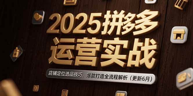 （15235期）2025拼多多运营实战：店铺定位选品技巧，爆款打造全流程解析（更新6月）-小白项目网