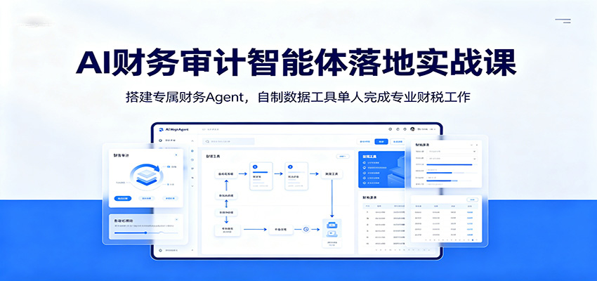 AI财务审计智能体落地实战课：搭建专属财务Agent，自制数据工具单人完成专业财税工作-小白项目网