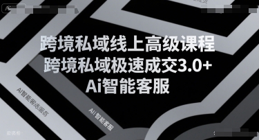 跨境私域线上高级课程，跨境私域极速成交3.0+Ai智能客服-小白项目网