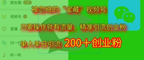 被忽略的“宝藏”视频号引流精准创业粉单人单日引流200+精准粉-小白项目网