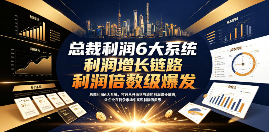 总裁利润6大系统，打通从开源到节流的利润增长链路，让企业在复杂市场中实现利润倍数级爆发-小白项目网