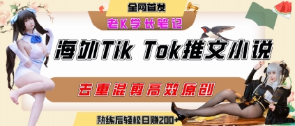 海外tiktok小说推文暴力项目，高停留率，高转化率，上手后一天搞顿饭钱不是问题 - 小白项目网-小白项目网