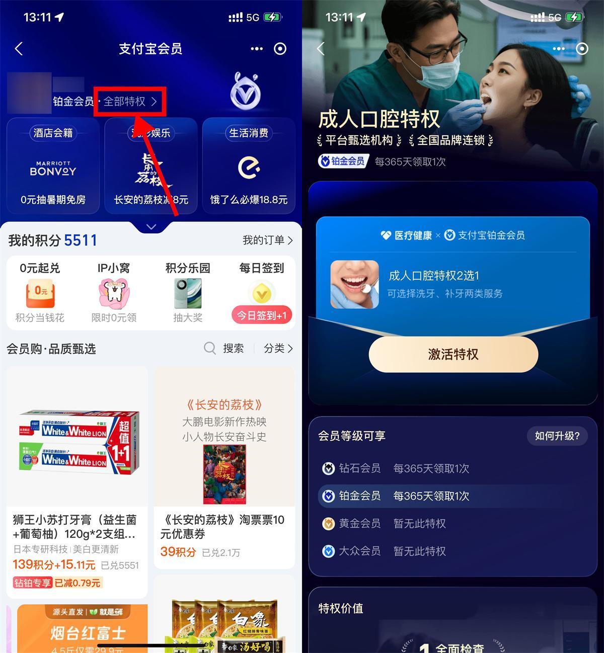 支付宝铂金钻石会员免费洗牙-小白项目网