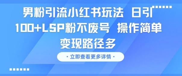 男粉引流小红书玩法，日引100+LSP粉不废号，操作简单，变现路径多-小白项目网