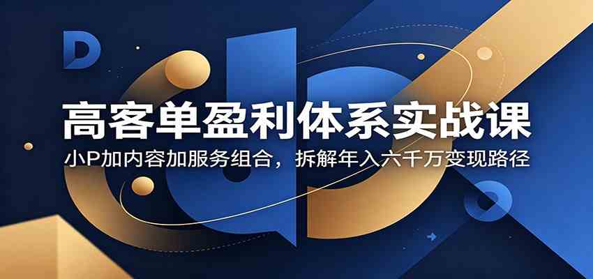 高客单盈利体系实战课：小P加内容加服务组合，拆解年入六千万变现路径-小白项目网