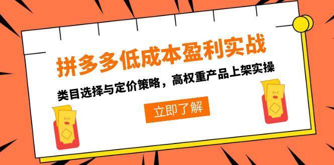 （15143期）拼多多低成本盈利实战，类目选择与定价策略，高权重产品上架实操 - 小白项目网-小白项目网