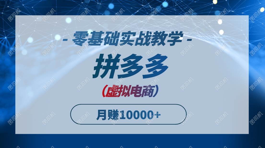 （14880期）拼多多虚拟电商，零基础实战教学，快速打爆商品，新手也能月入10000+-小白项目网