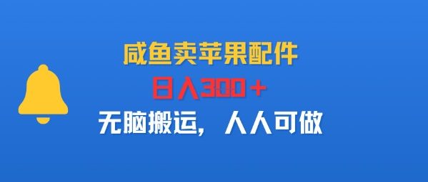 咸鱼卖苹果配件，日入3张+，无脑搬运，人人可做-小白项目网