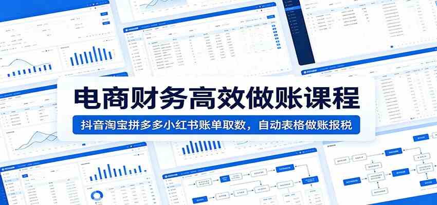 电商财务高效做账课程：抖音淘宝拼多多小红书账单取数，自动表格做账报税-小白项目网
