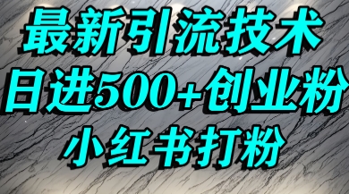 小红书精准引流创业粉，前辈求带孩子走投无路了，单人操作日引500+精准创业粉 - 小白项目网-小白项目网
