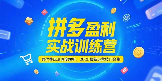 （15183期）拼多多盈利实战训练营，强付费玩法深度解析，2025最新运营技巧合集 - 小白项目网-小白项目网